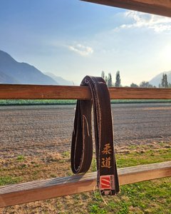 SSJ 2025 - Saillon Stage de Ju-jitsu