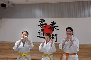 Passage de grades ju-jitsu adulte